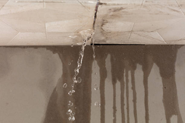 Professional Burst Pipe Cleanup technician working in Collegeport, TX